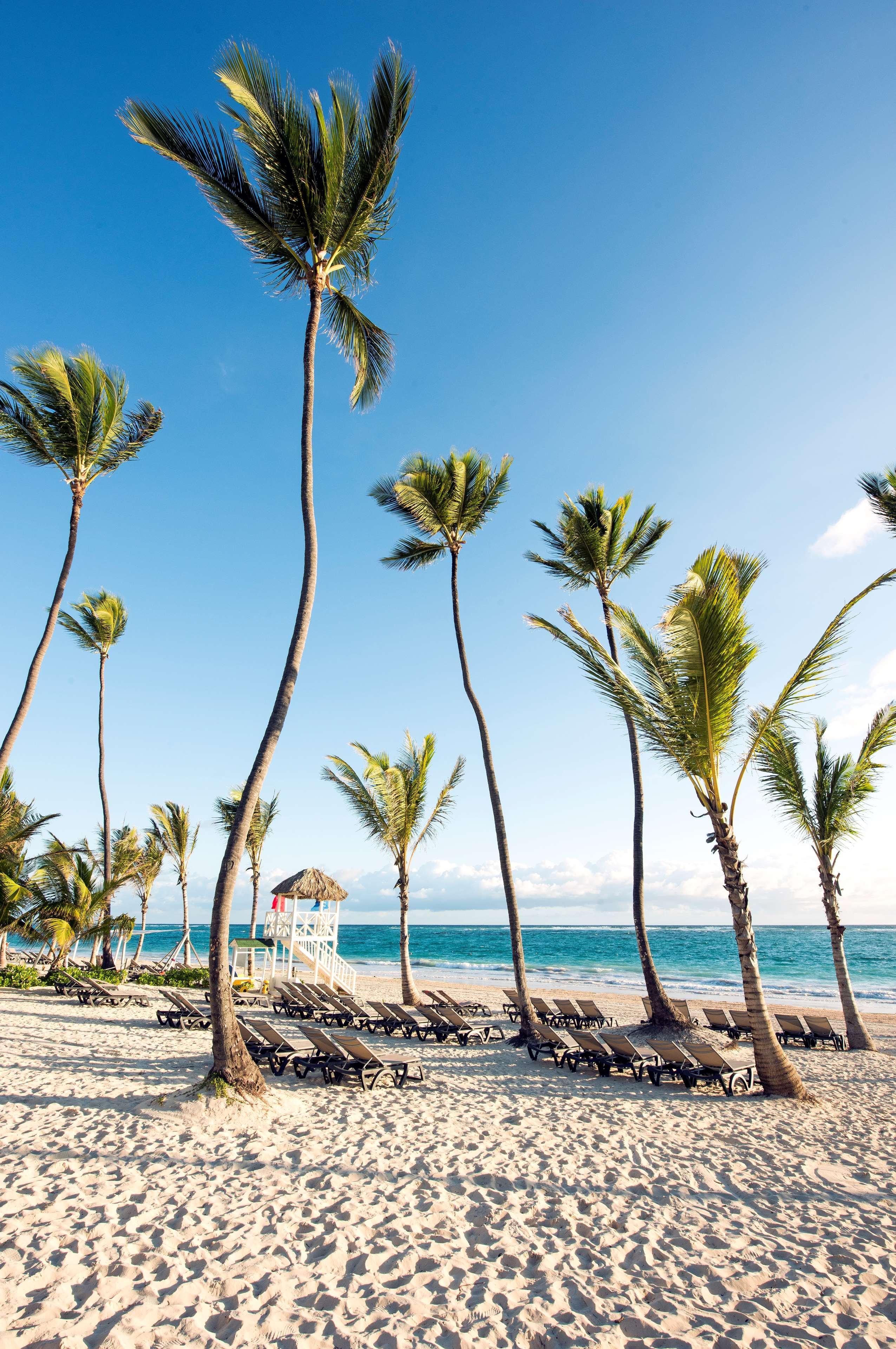 Occidental Resort 5*